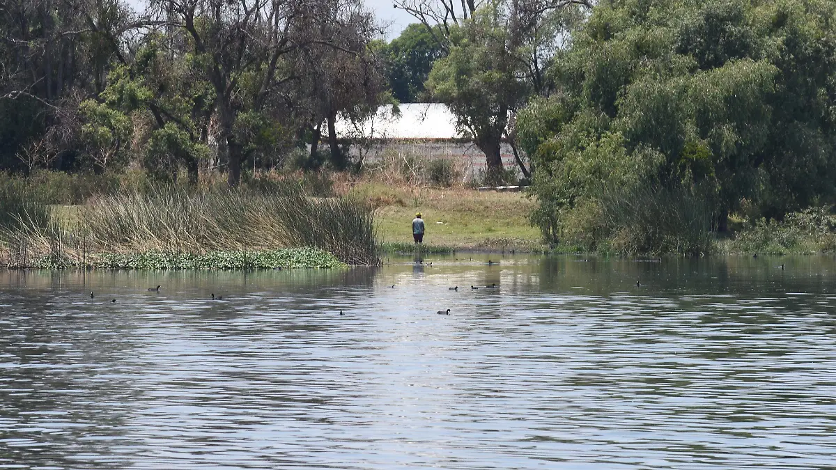 LAGUNA ACUITLAPILCO (2)